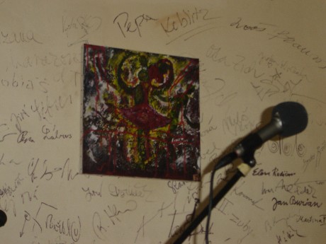 koncert v Salmovce únor 2010 009.jpg