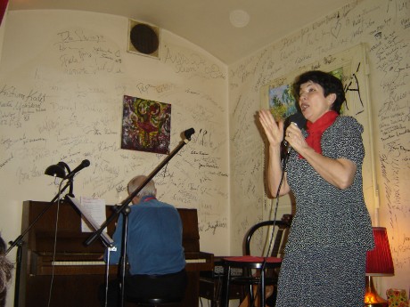 koncert v Salmovce únor 2010 019.jpg