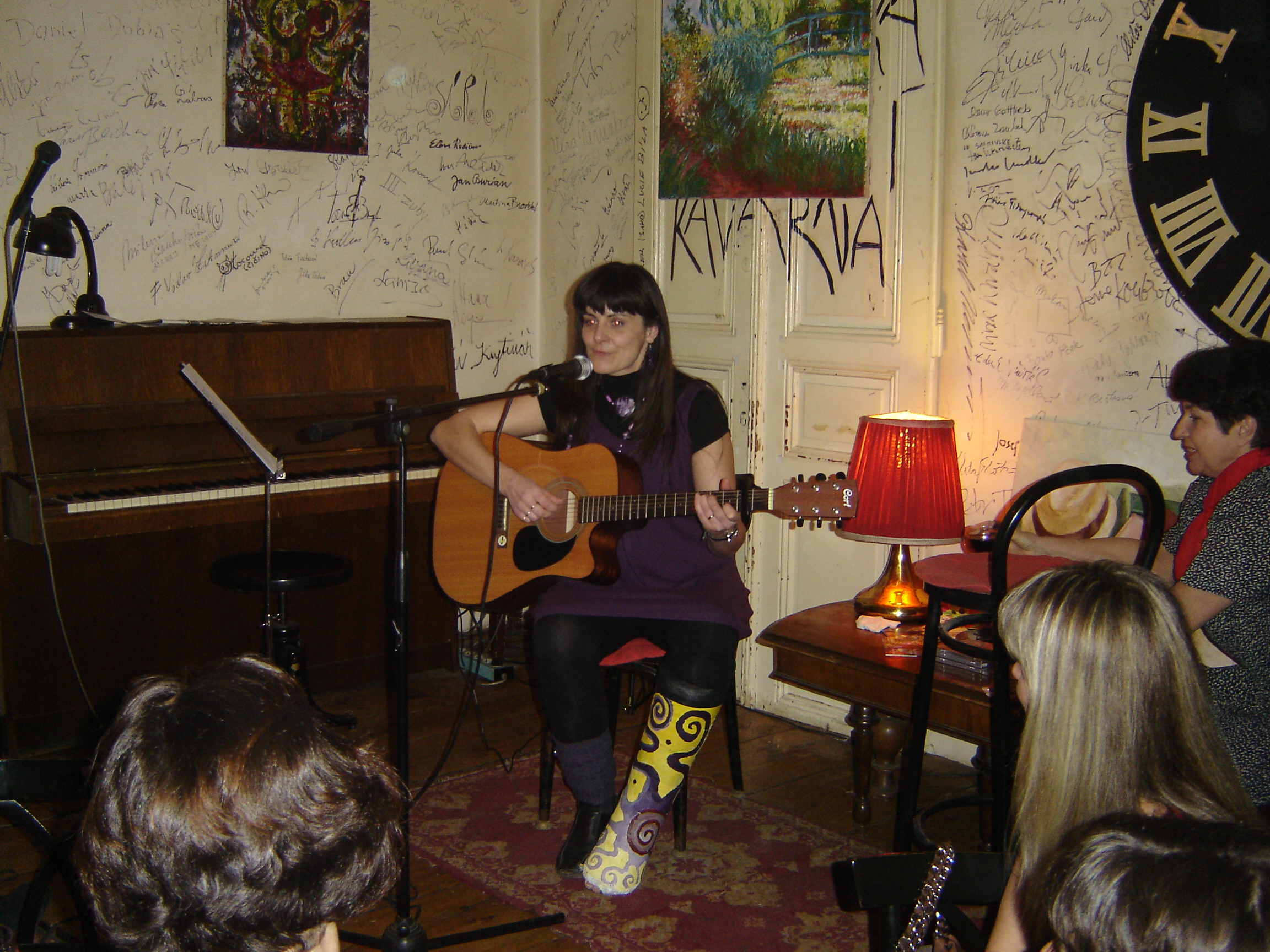 koncert v Salmovce únor 2010 030.jpg