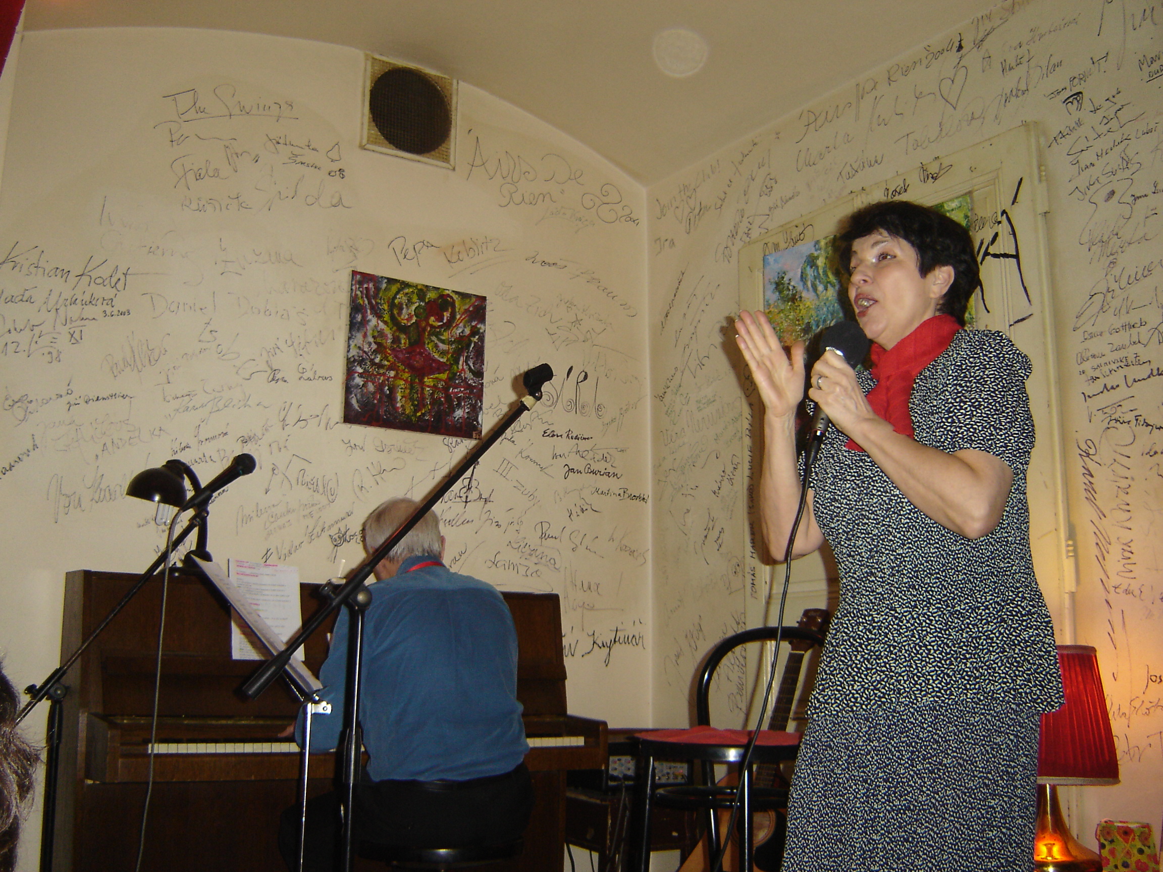koncert v Salmovce únor 2010 019.jpg